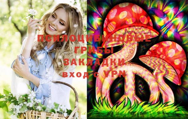 гидра Верхнеуральск