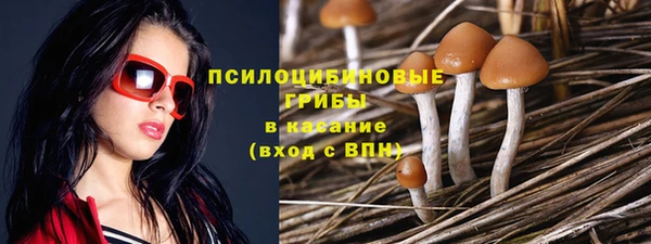 МДПВ Верея