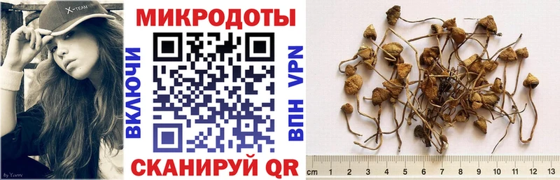Галлюциногенные грибы Psilocybe  Купить  Нарьян-Мар 